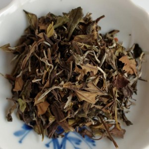 Fujian-Bai-cha-dry